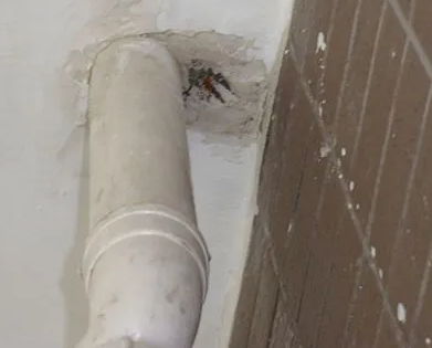 甘肃漏水检测哪家好